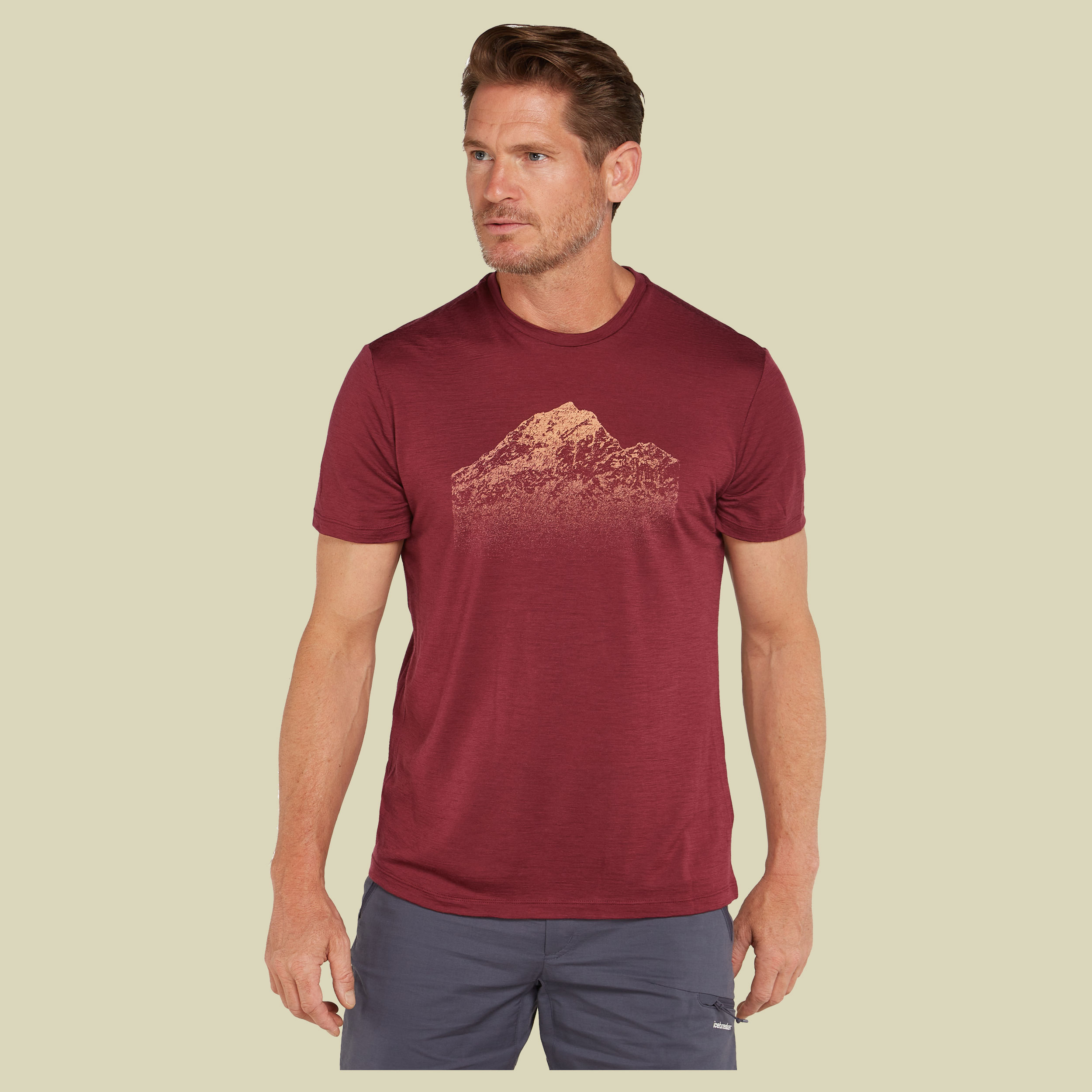 Merino 150 Tech Lite SS Tee Rising Light Men M braun - port