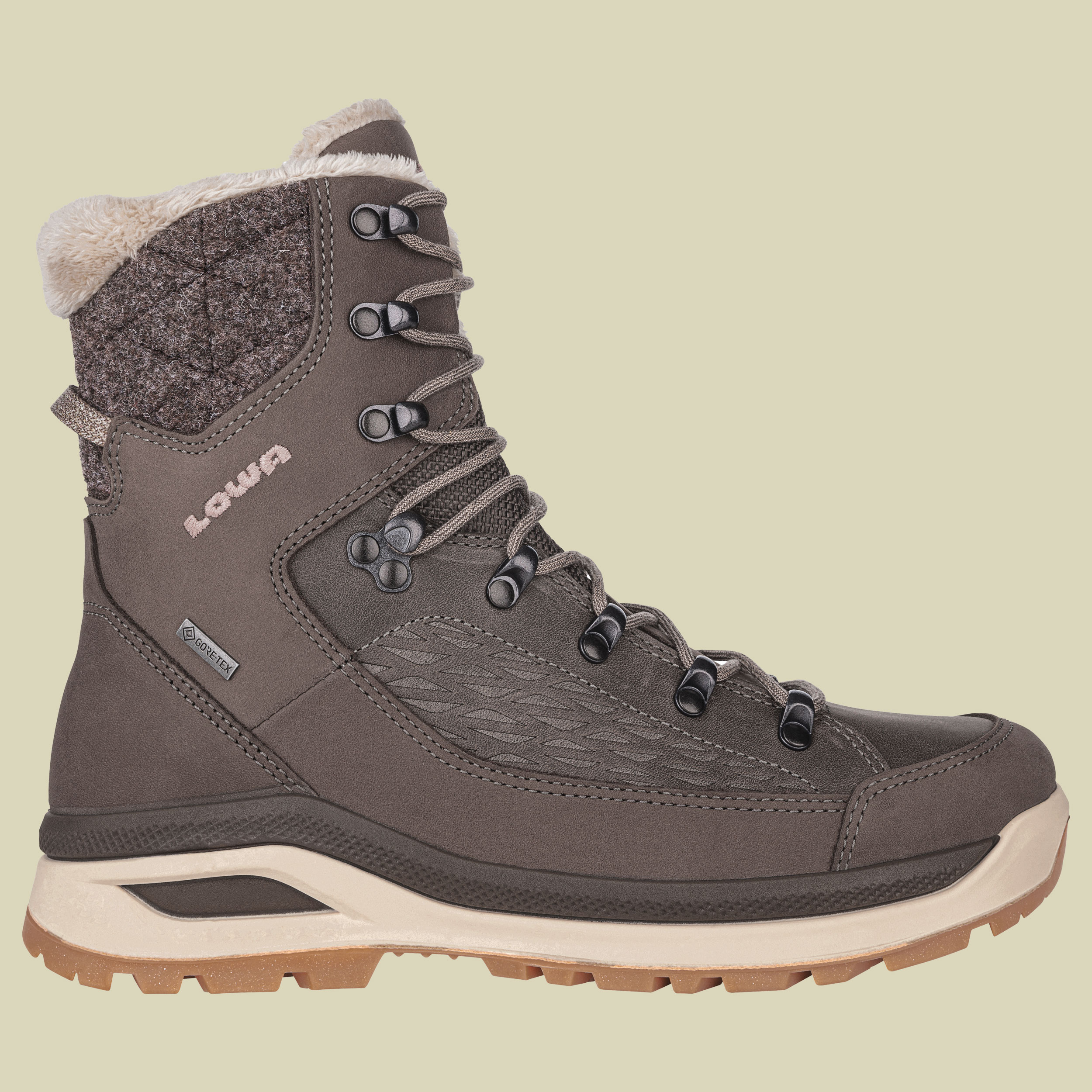 Renegade Evo Ice GTX Women UK 6 braun - stein/champagner