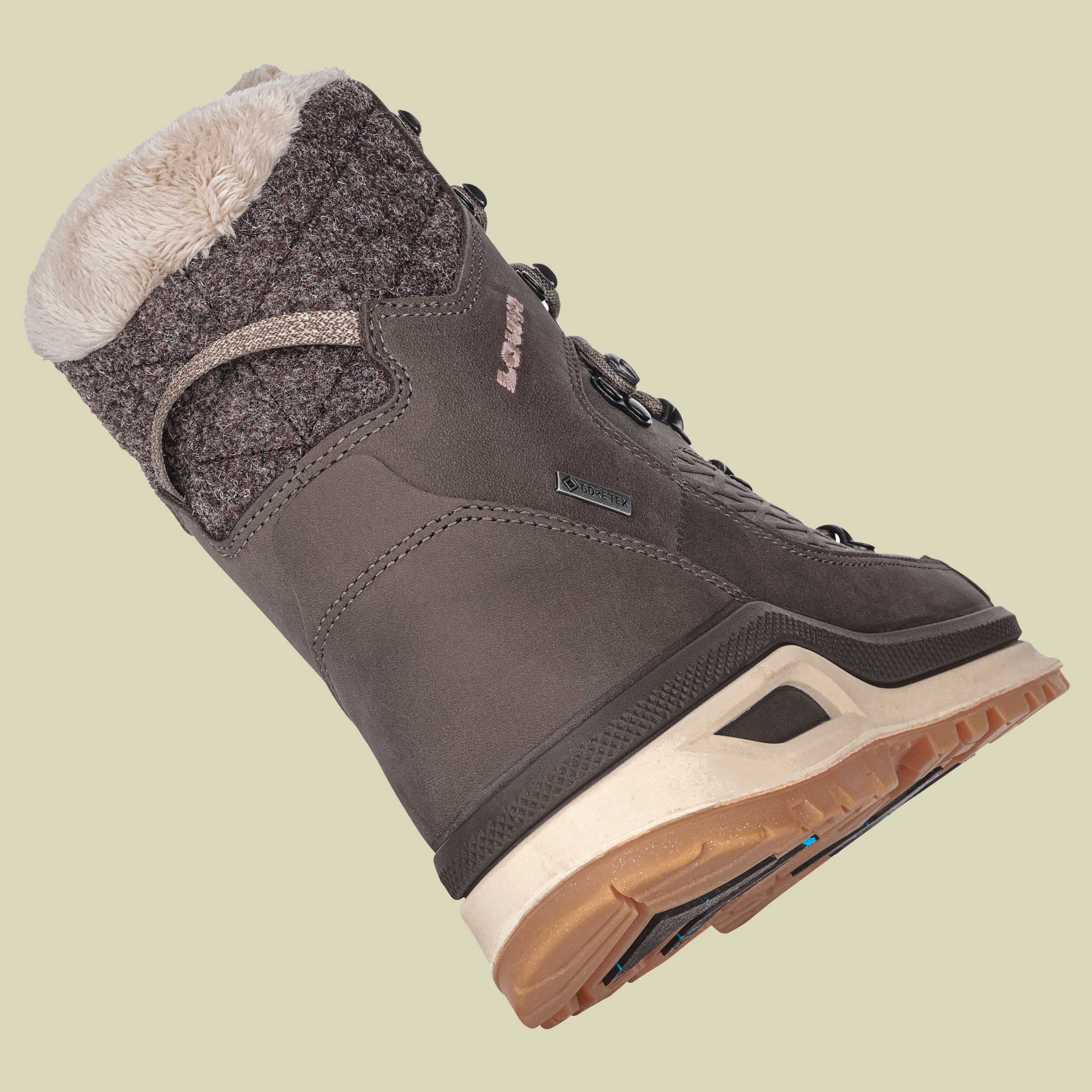 Renegade Evo Ice GTX Women UK 5,5 braun - stein/champagner