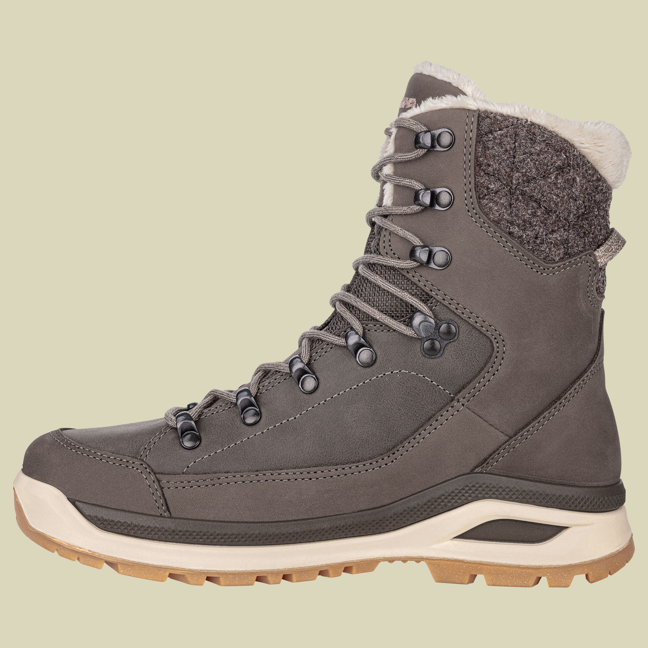 Renegade Evo Ice GTX Women UK 6,5 braun - stein/champagner