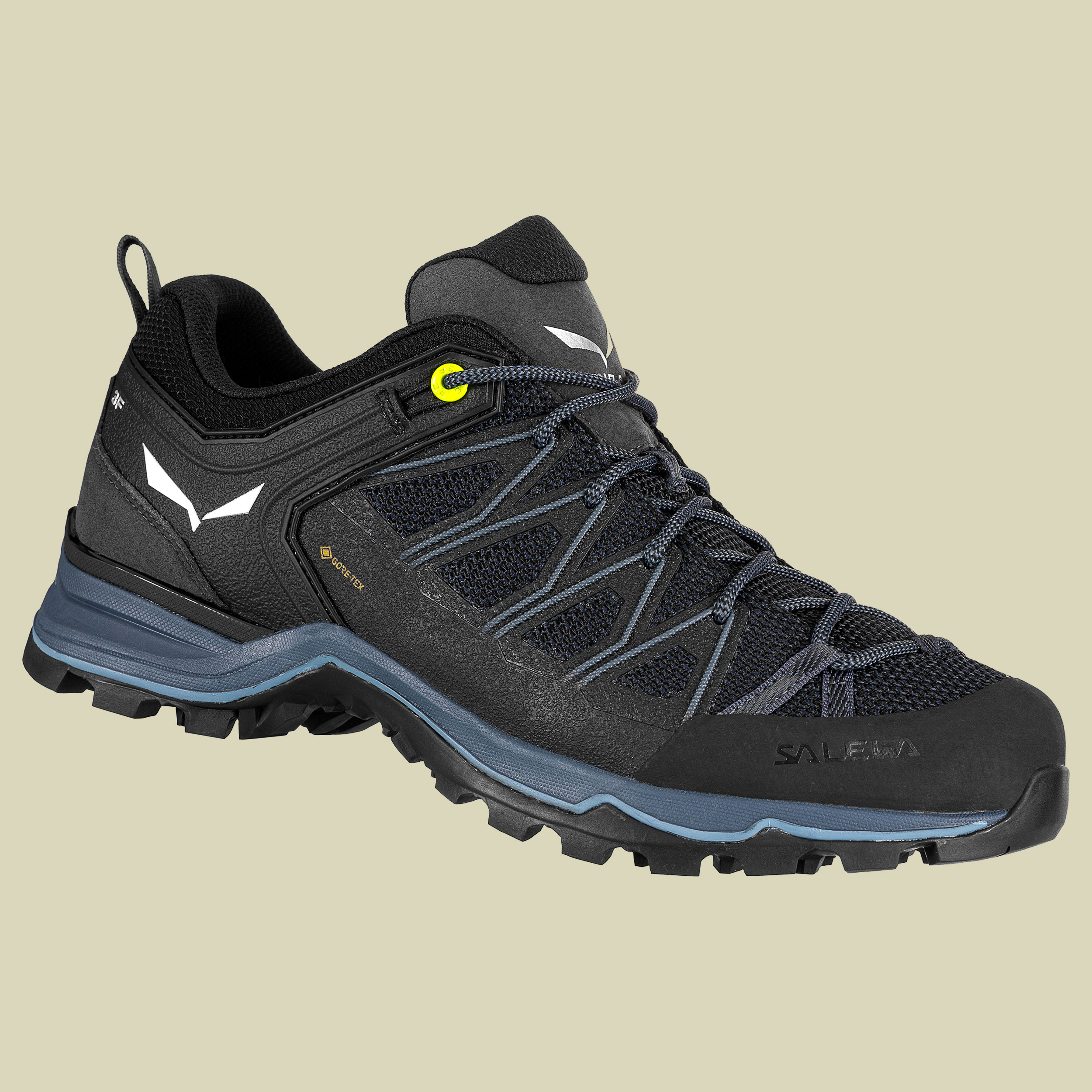 MS MTN Trainer Lite GTX