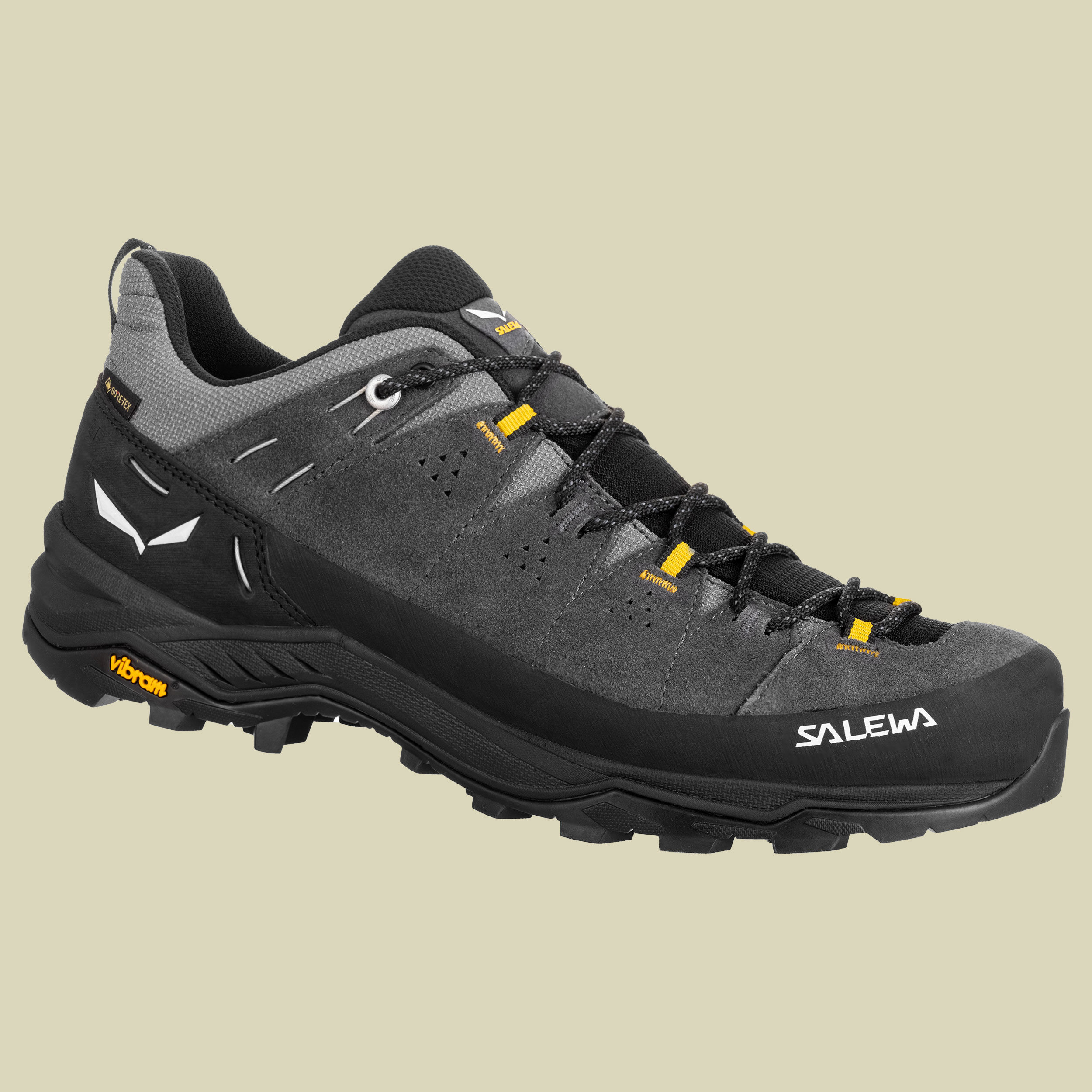 Alp Trainer 2 GTX Men Größe UK 9,5 Farbe onyx/black