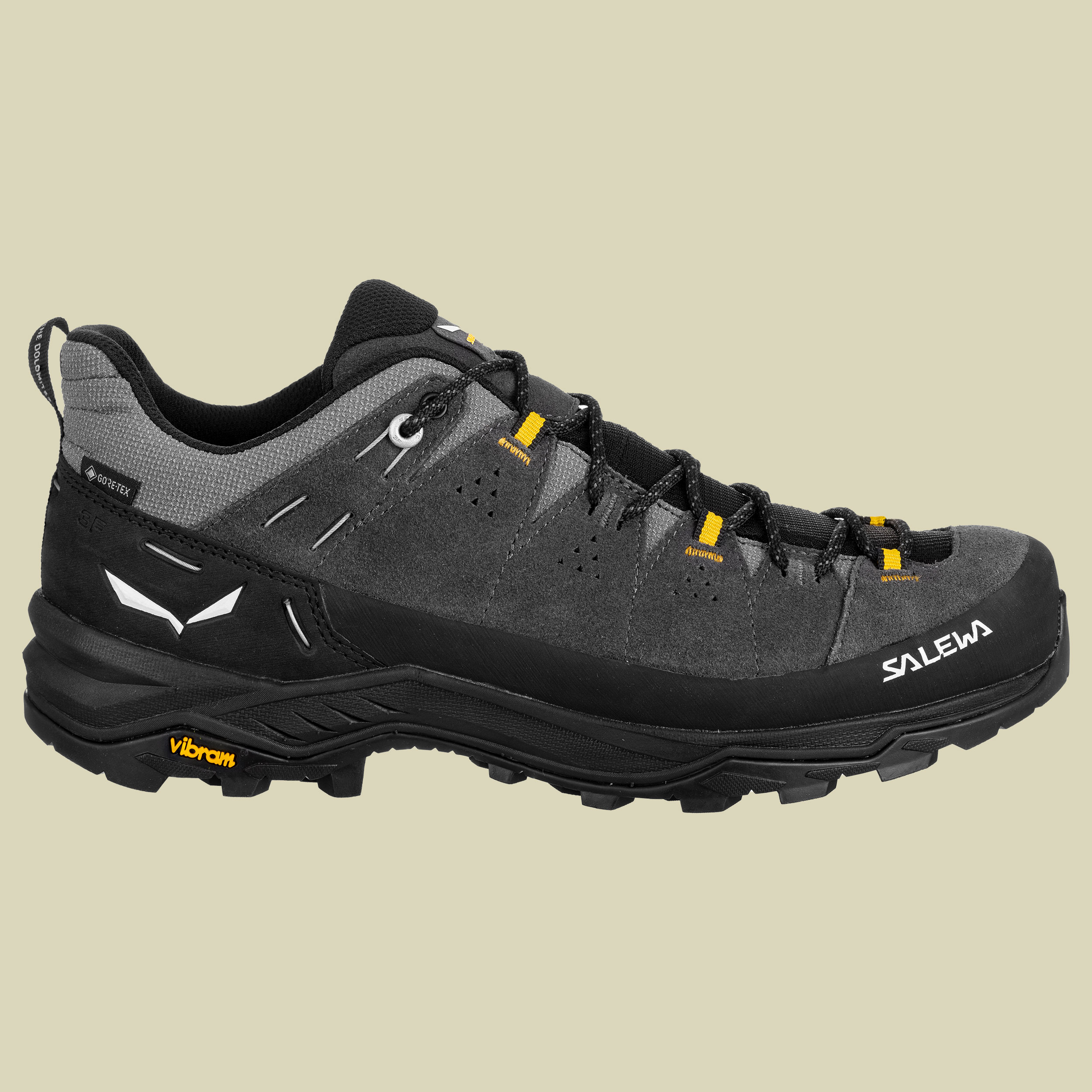 Alp Trainer 2 GTX Men Größe UK 11 Farbe onyx/black