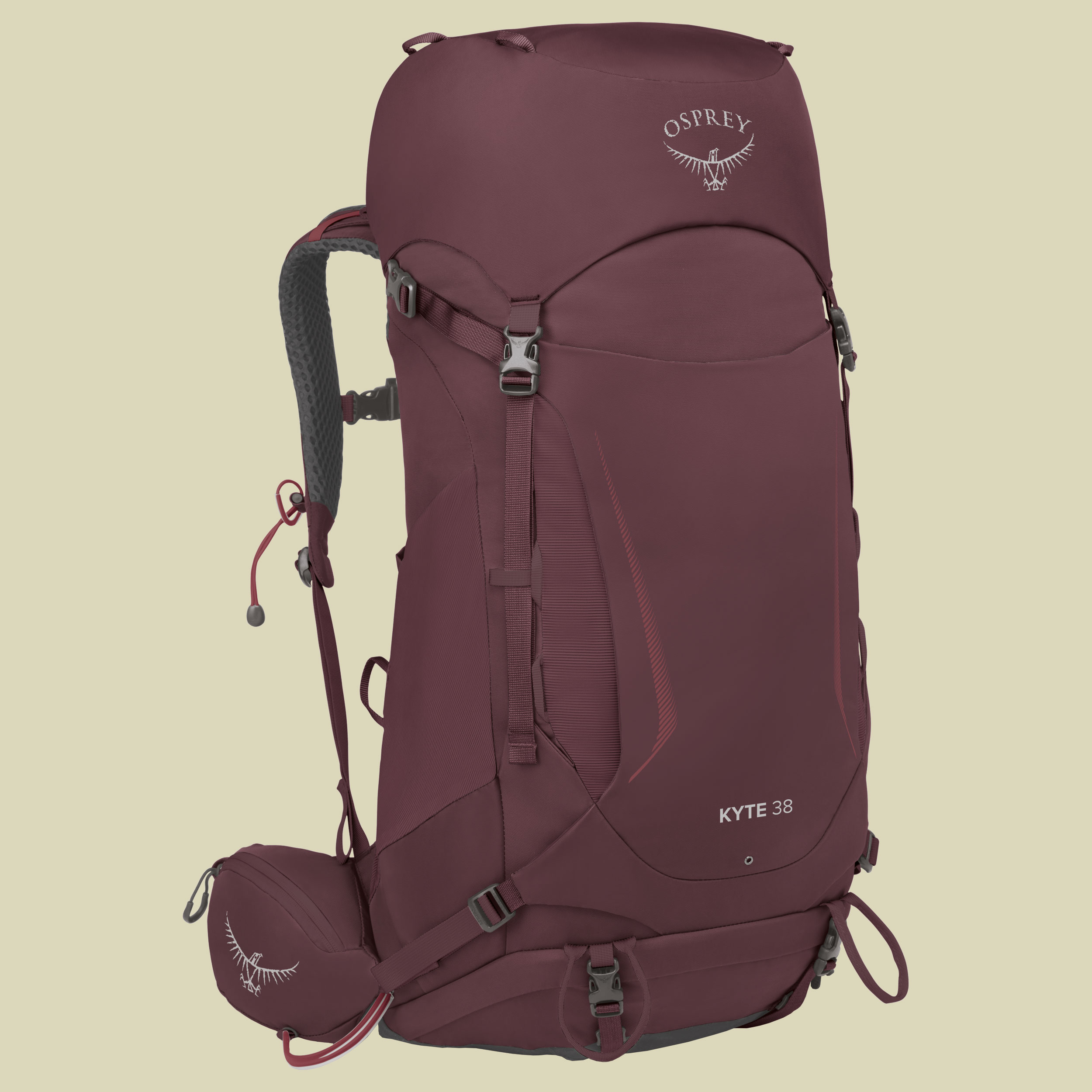 Kyte 38 lila WM/L - elderberry/purple