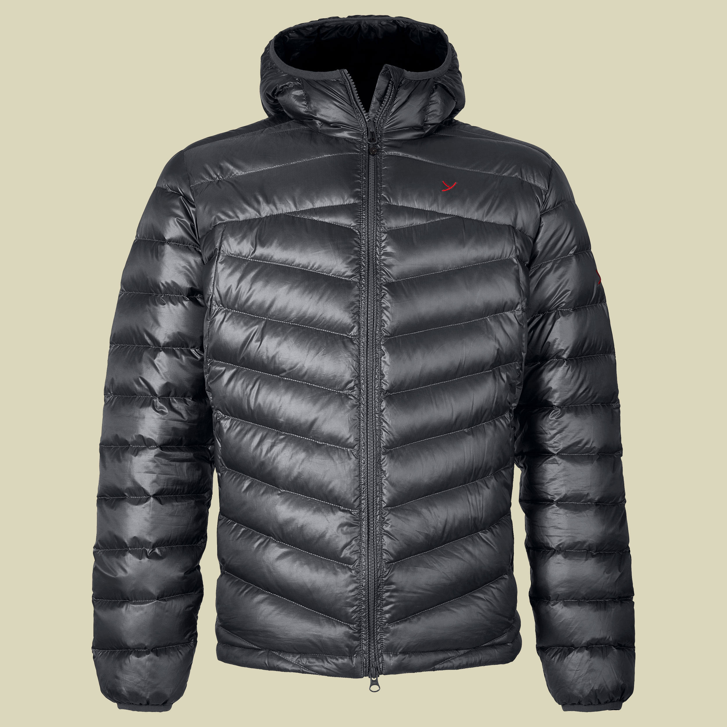 Payne Hooded Down Jacket Men