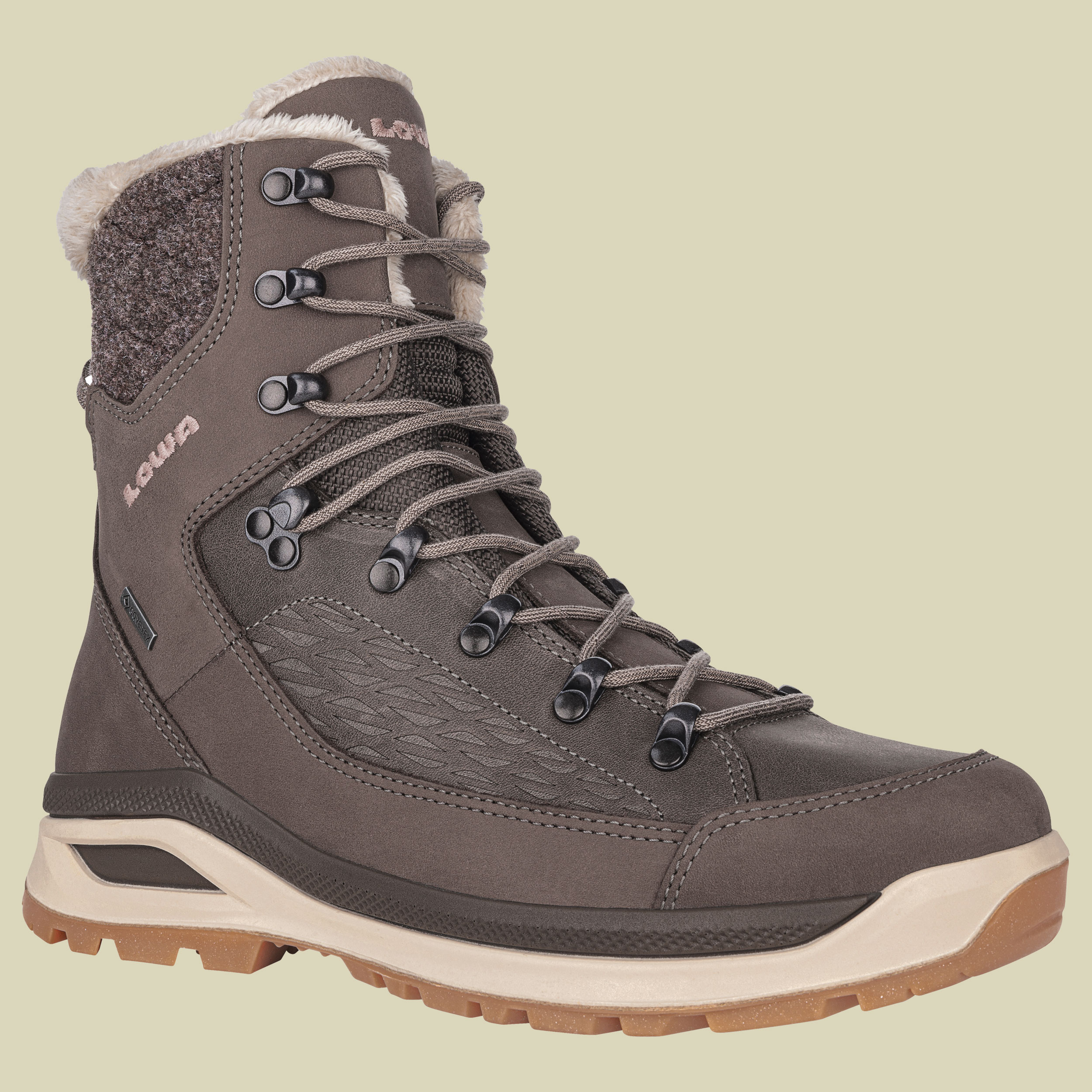 Renegade Evo Ice GTX Women UK 8 braun - stein/champagner