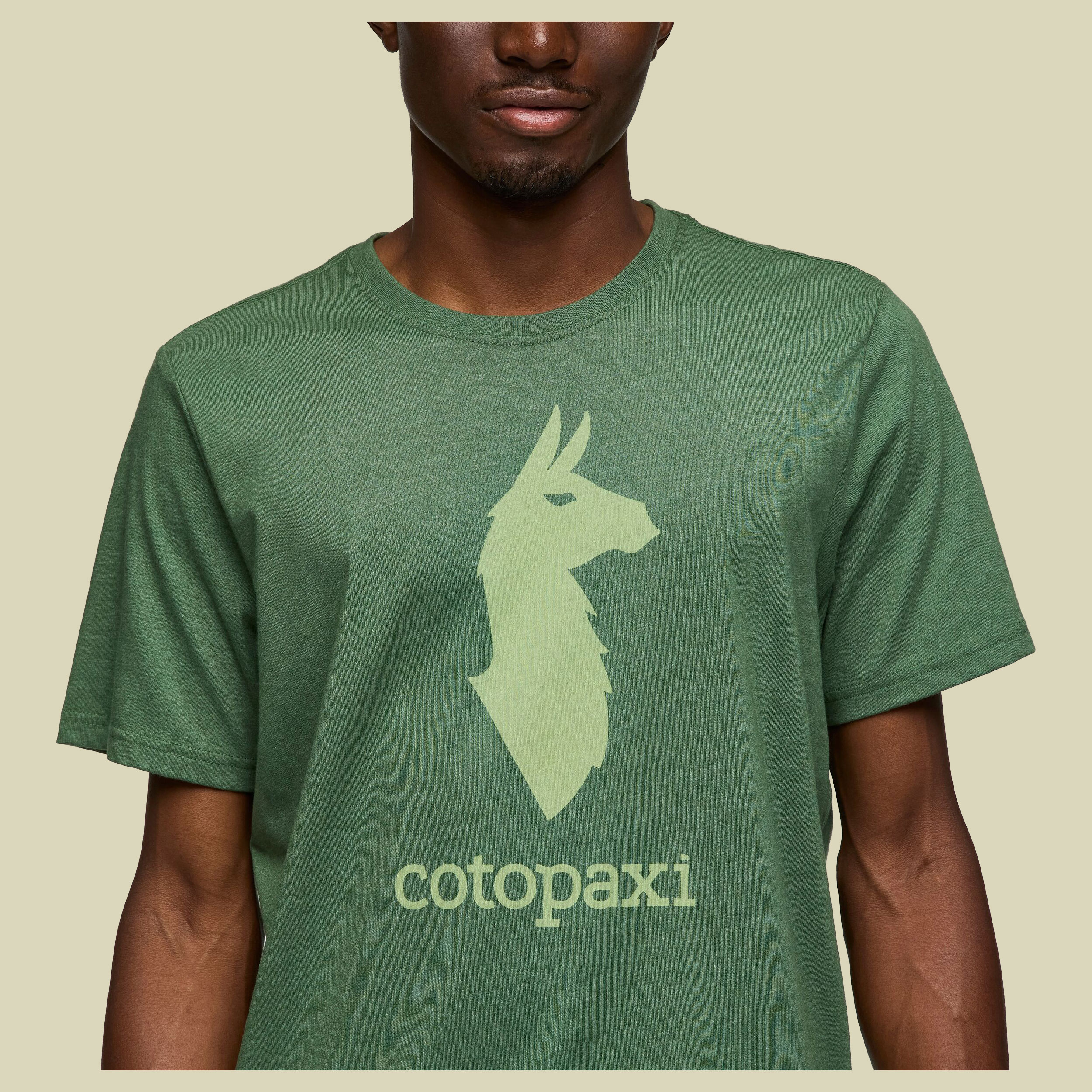 Cotopaxi Llama T-Shirt Men M grün - Farbe vine