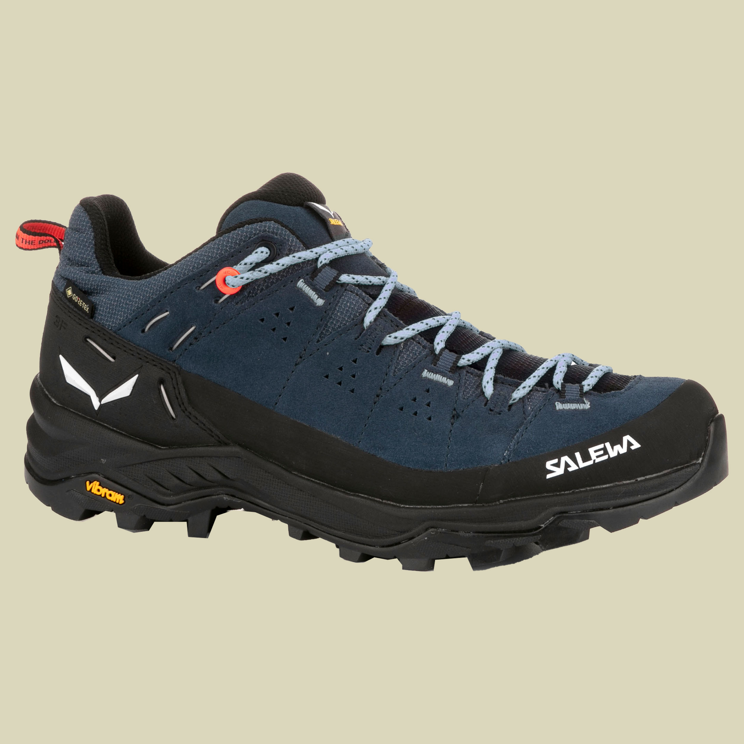 Alp Trainer 2 GTX Women