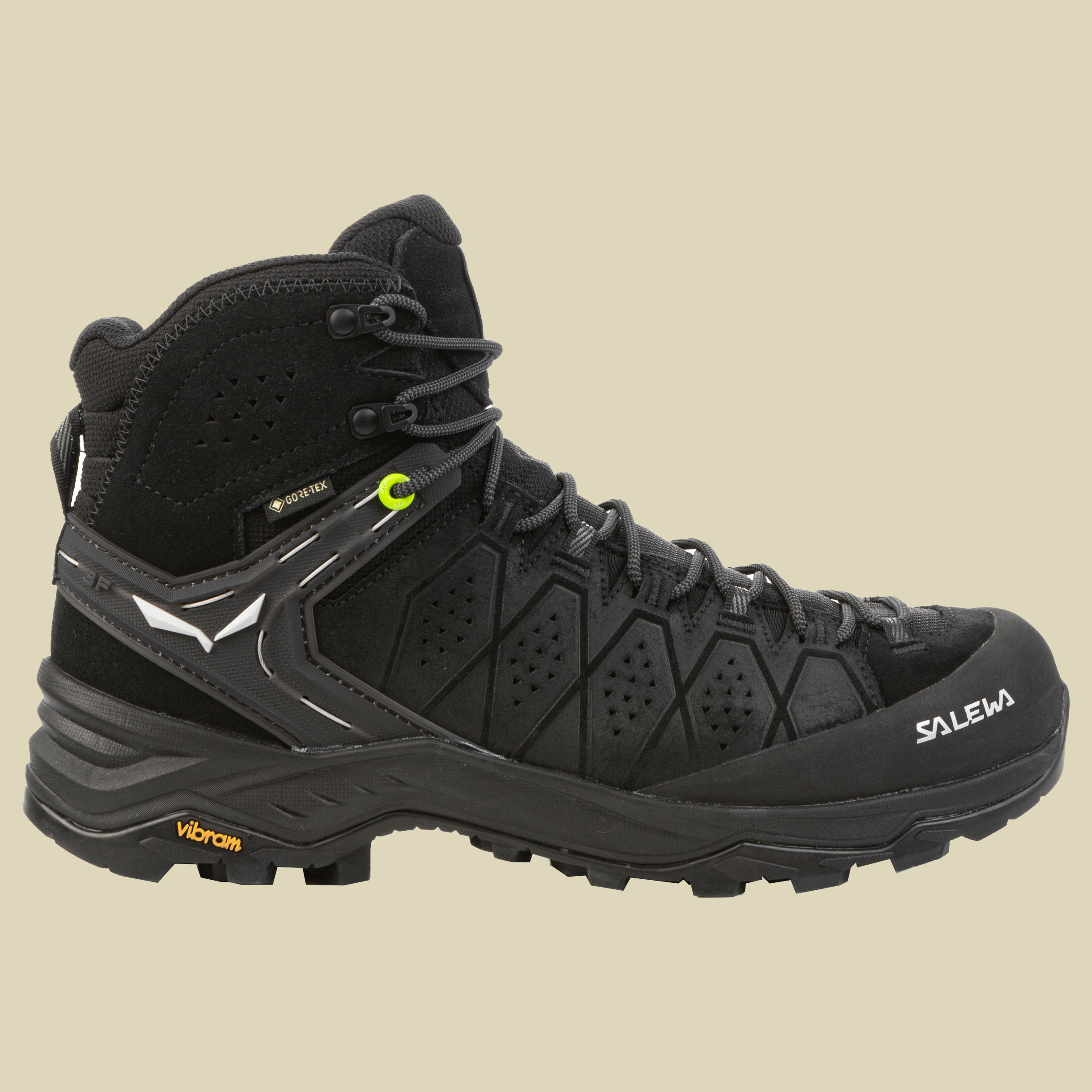 MS Alp Trainer 2 MID GTX Men