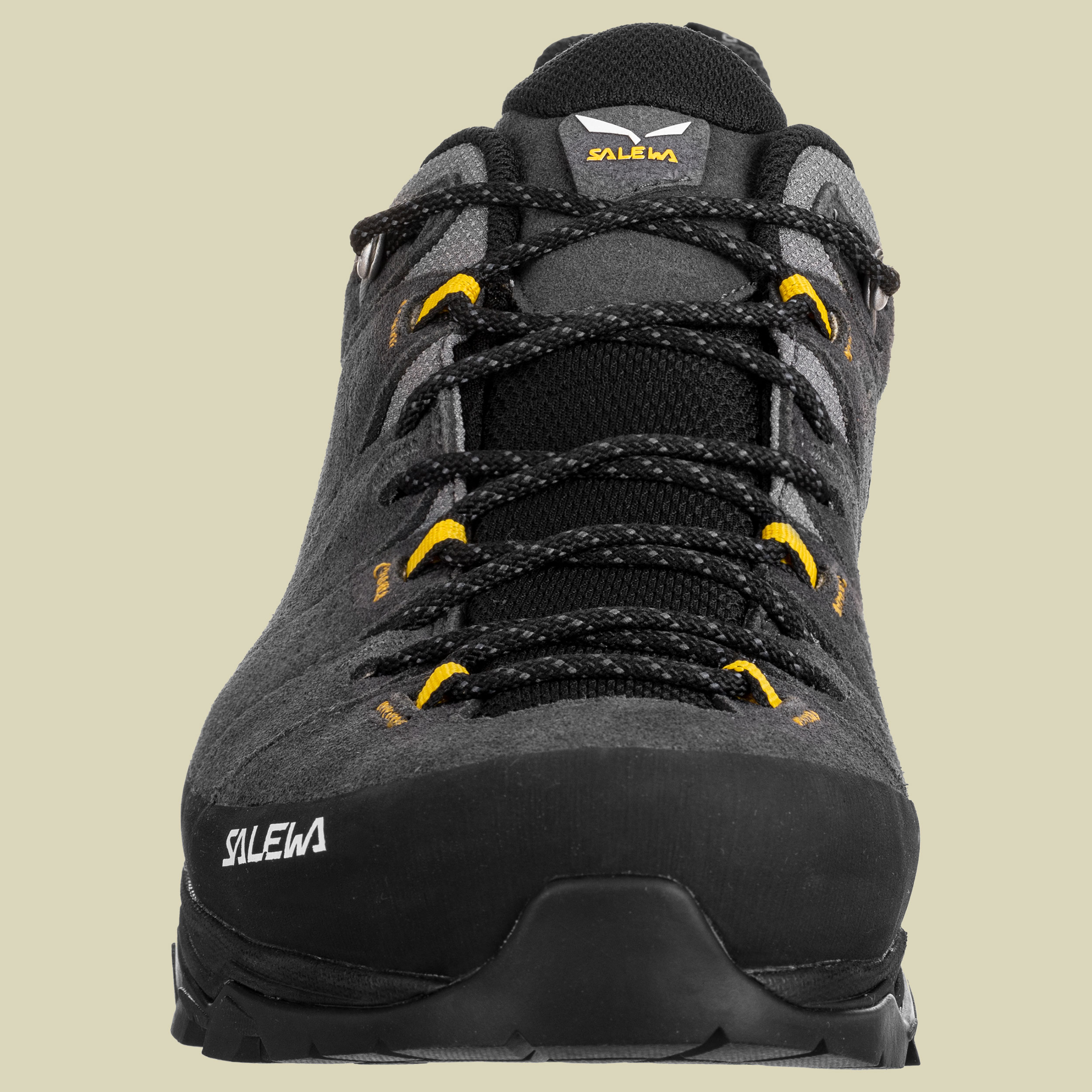 Alp Trainer 2 GTX Men Größe UK 8,5 Farbe onyx/black