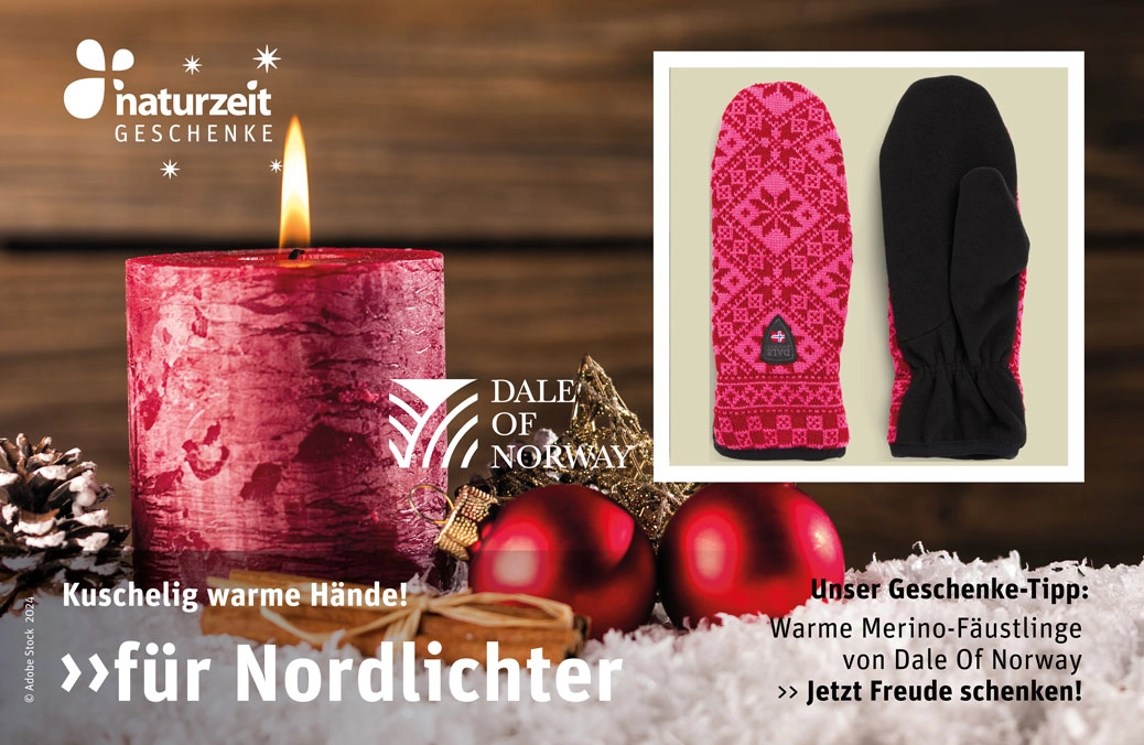 Geschenkidee - Dale of Norway Handschuhe