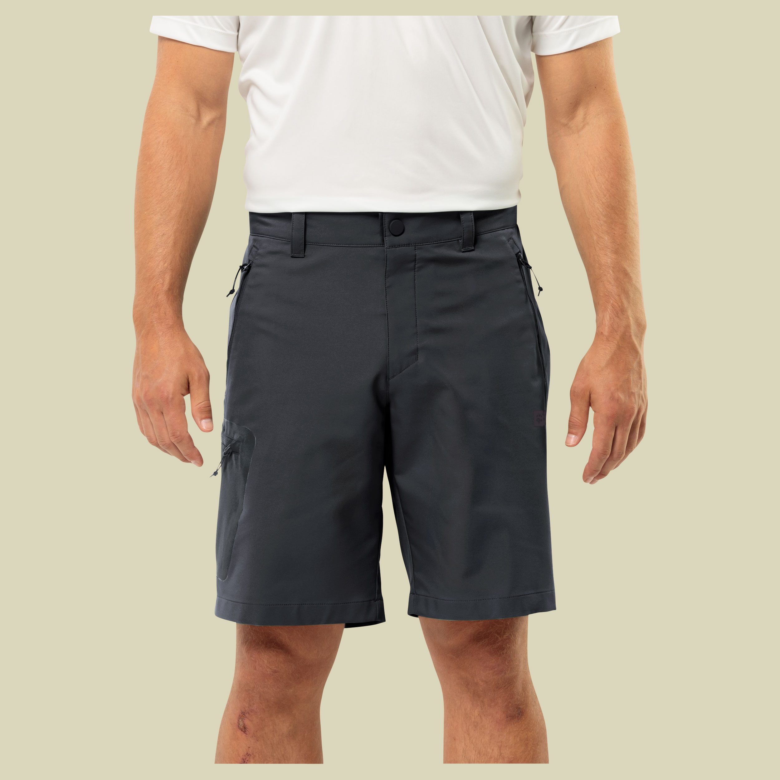 Active Track Shorts Men grau 50 - phantom