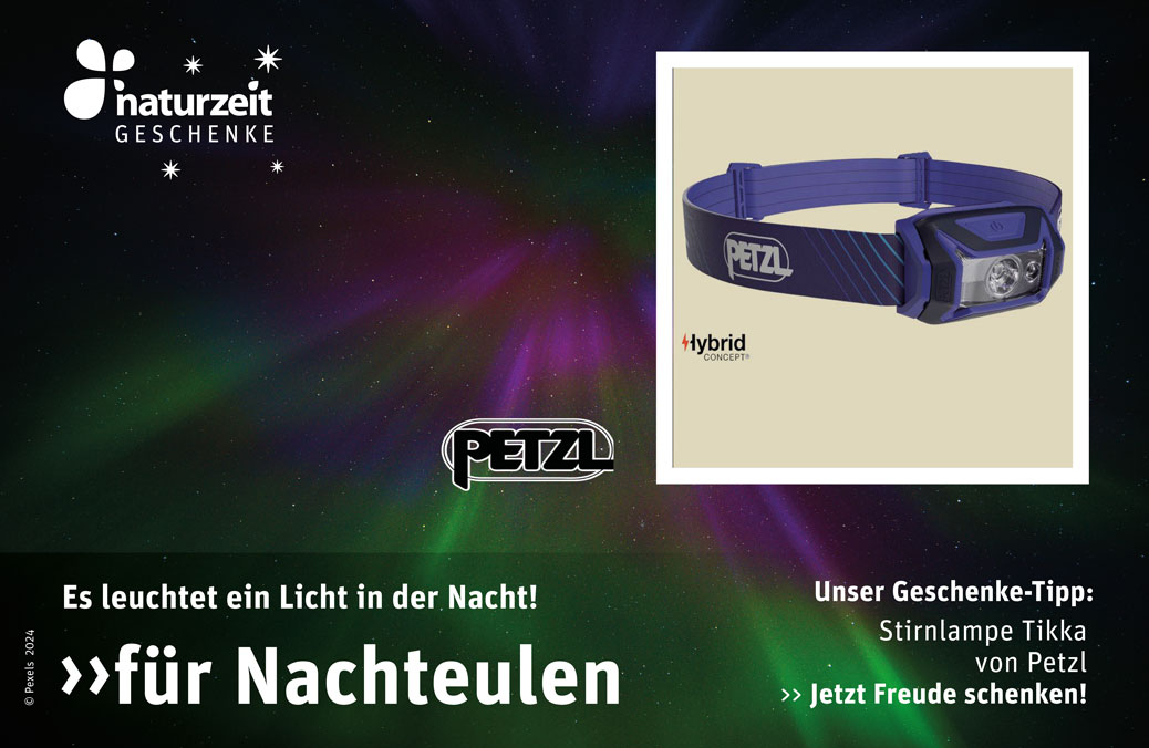 Geschenkidee - Petzl Stirnlampe