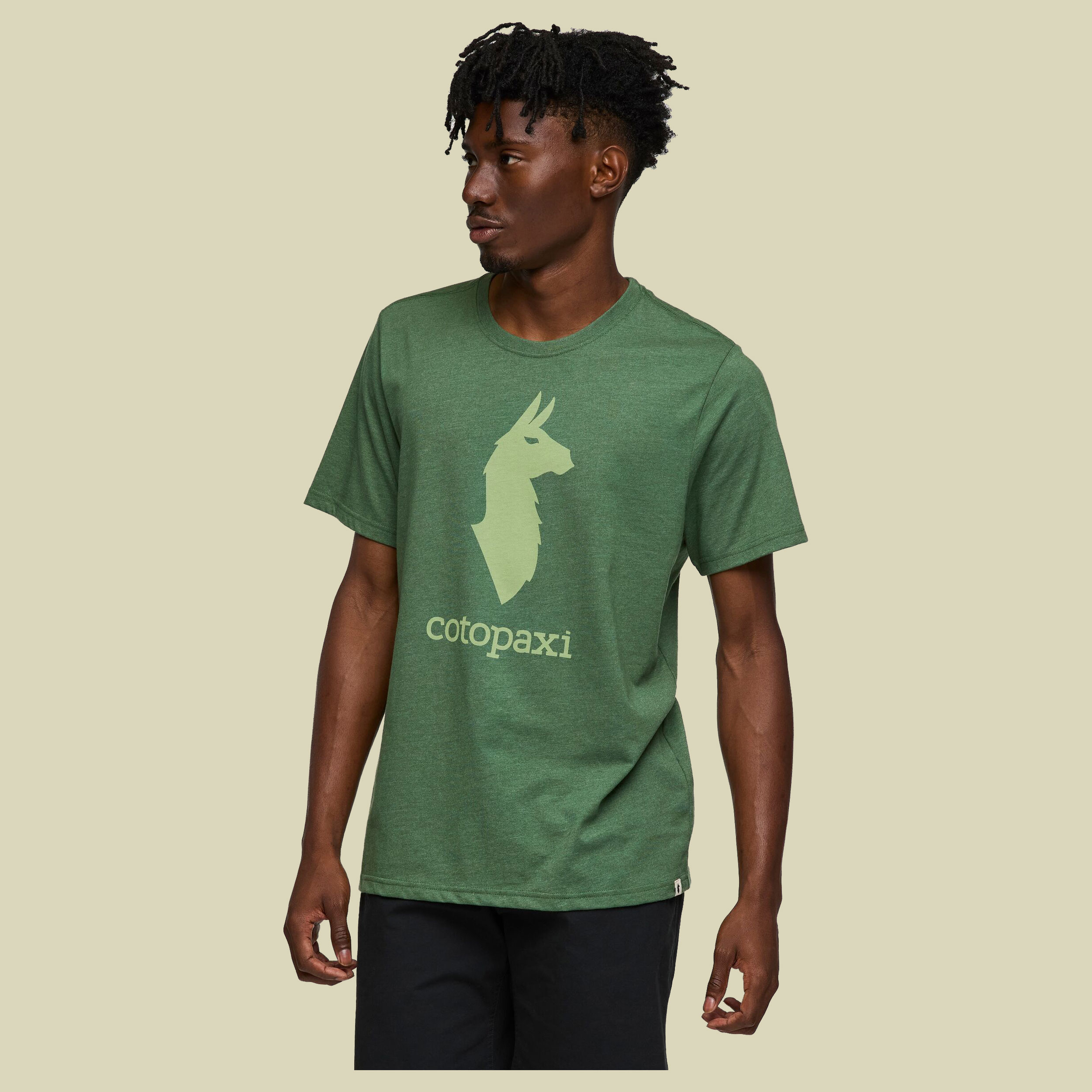 Cotopaxi Llama T-Shirt Men M grün - Farbe vine