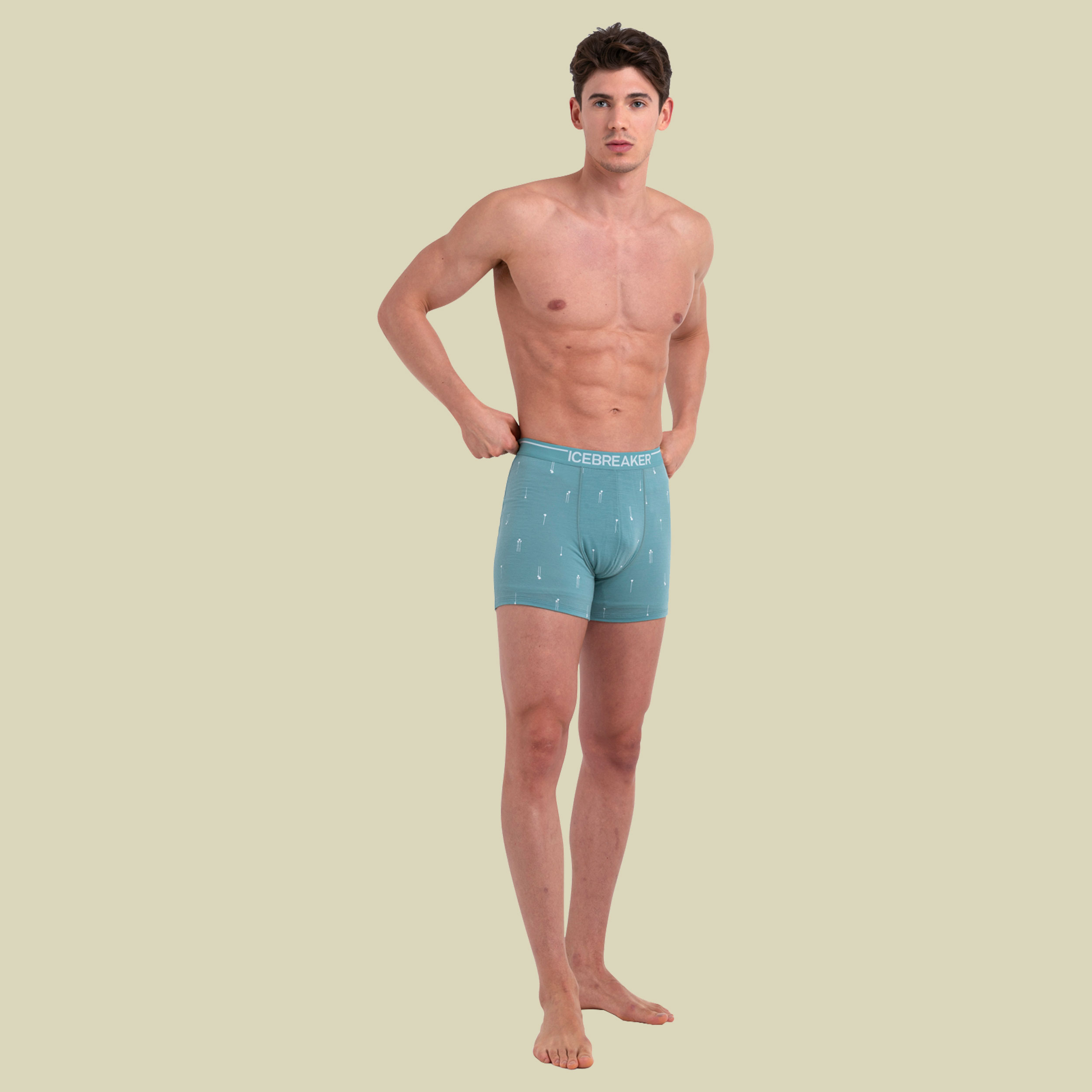 Merino Anatomica Boxers Palm Trail AOP Men XL blau - cloud ray/AOP