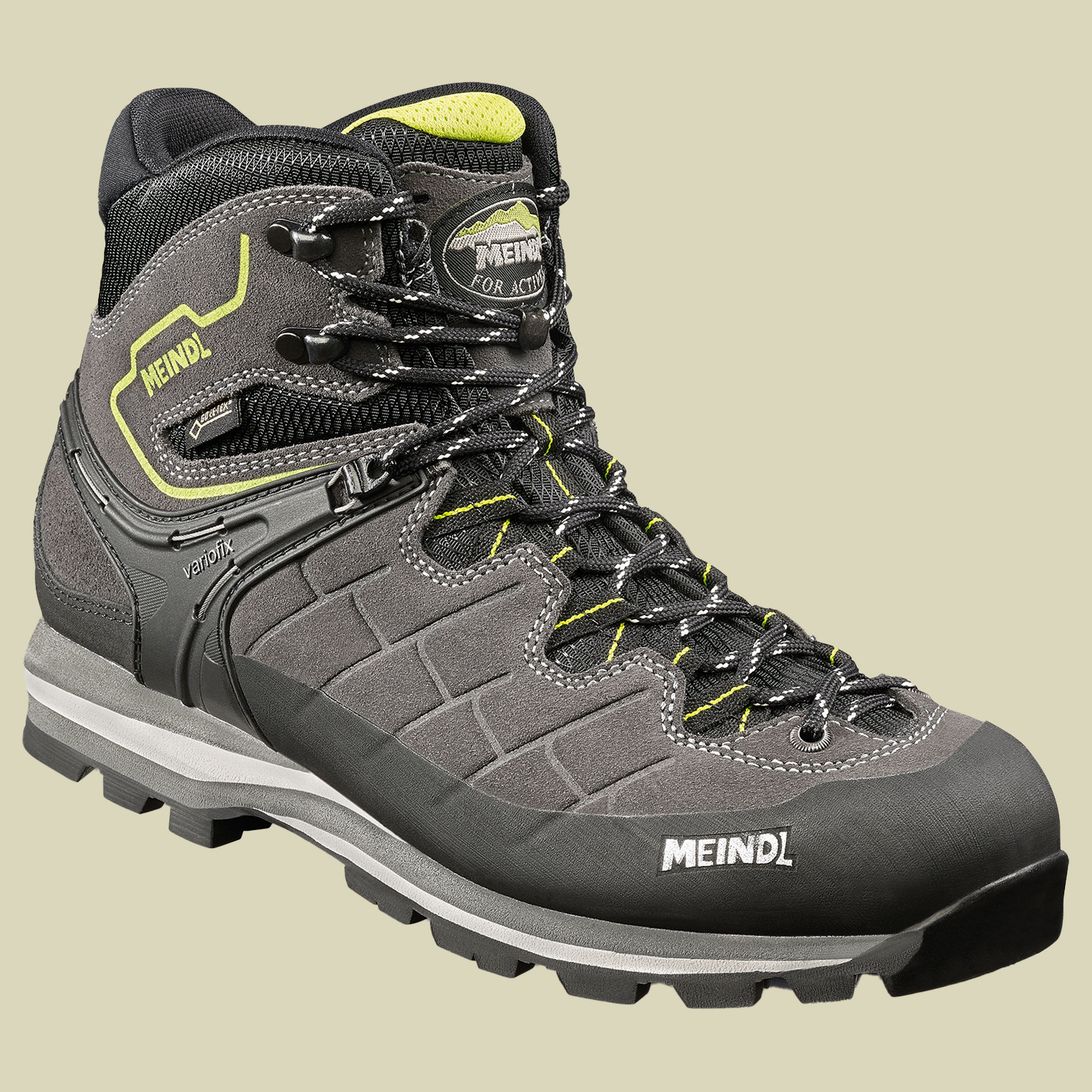 Litepeak GTX Men